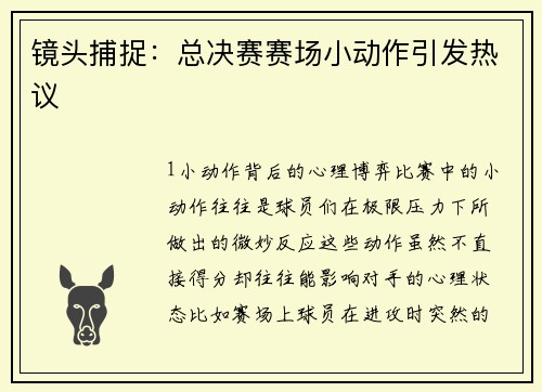 镜头捕捉：总决赛赛场小动作引发热议